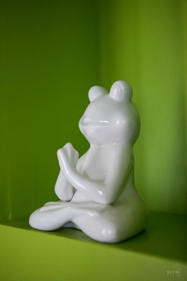 Frog Apartment Rijeka Zewnętrze zdjęcie